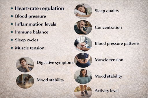 Long-Term Effects of Un-treated Anxiety