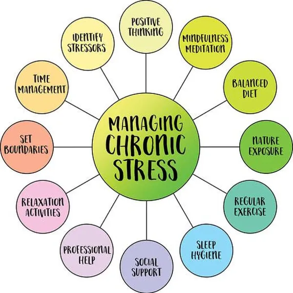 The Problem behind Chronic Stress and Memory and Decision Making
